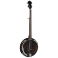 Natural Acoustic Electric 5-String Banjo H606