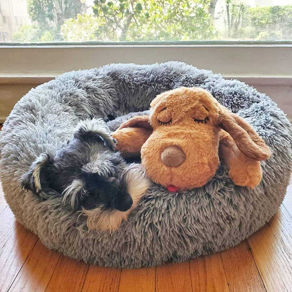 Snuggle Puppy Starter Kit X90318