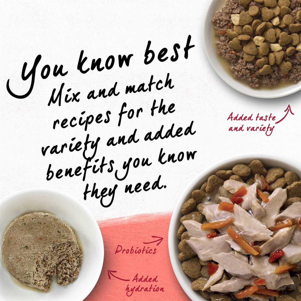 Cat Dry Food O651