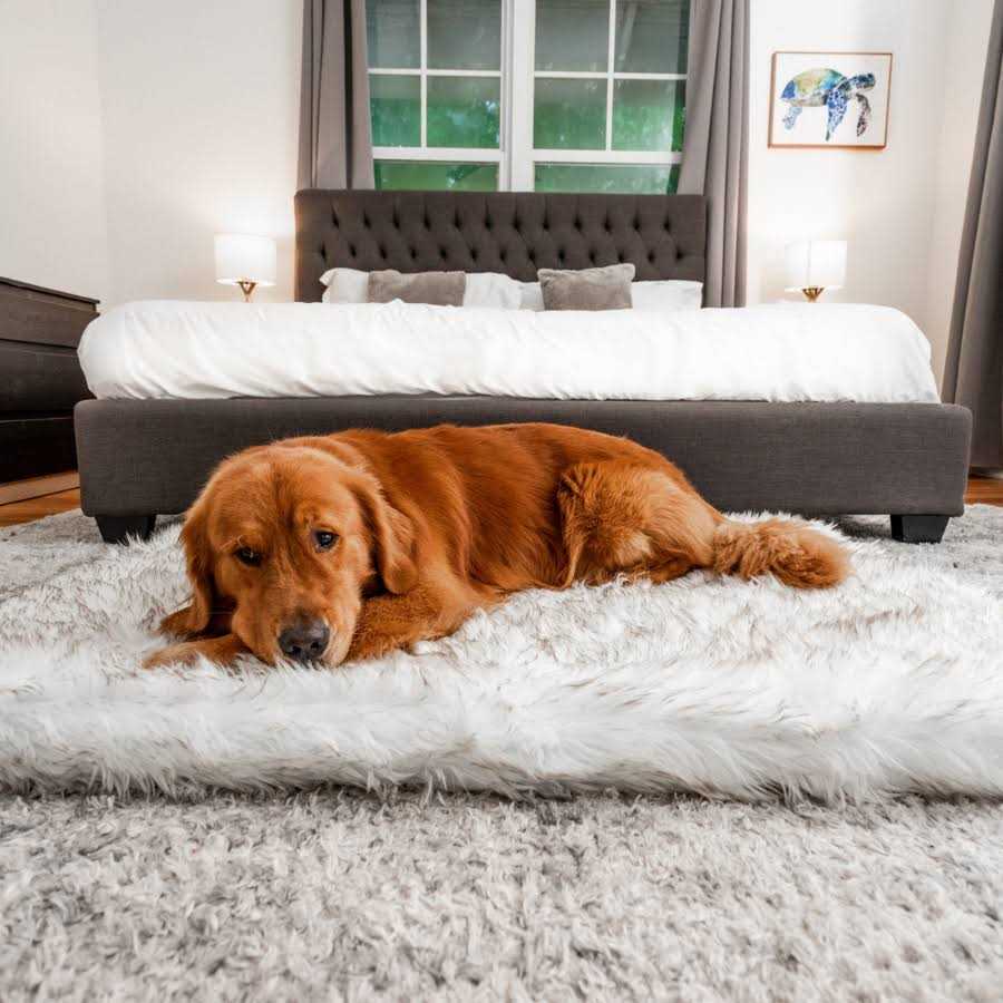 Faux Fur Orthopedic Dog Bed Y43500