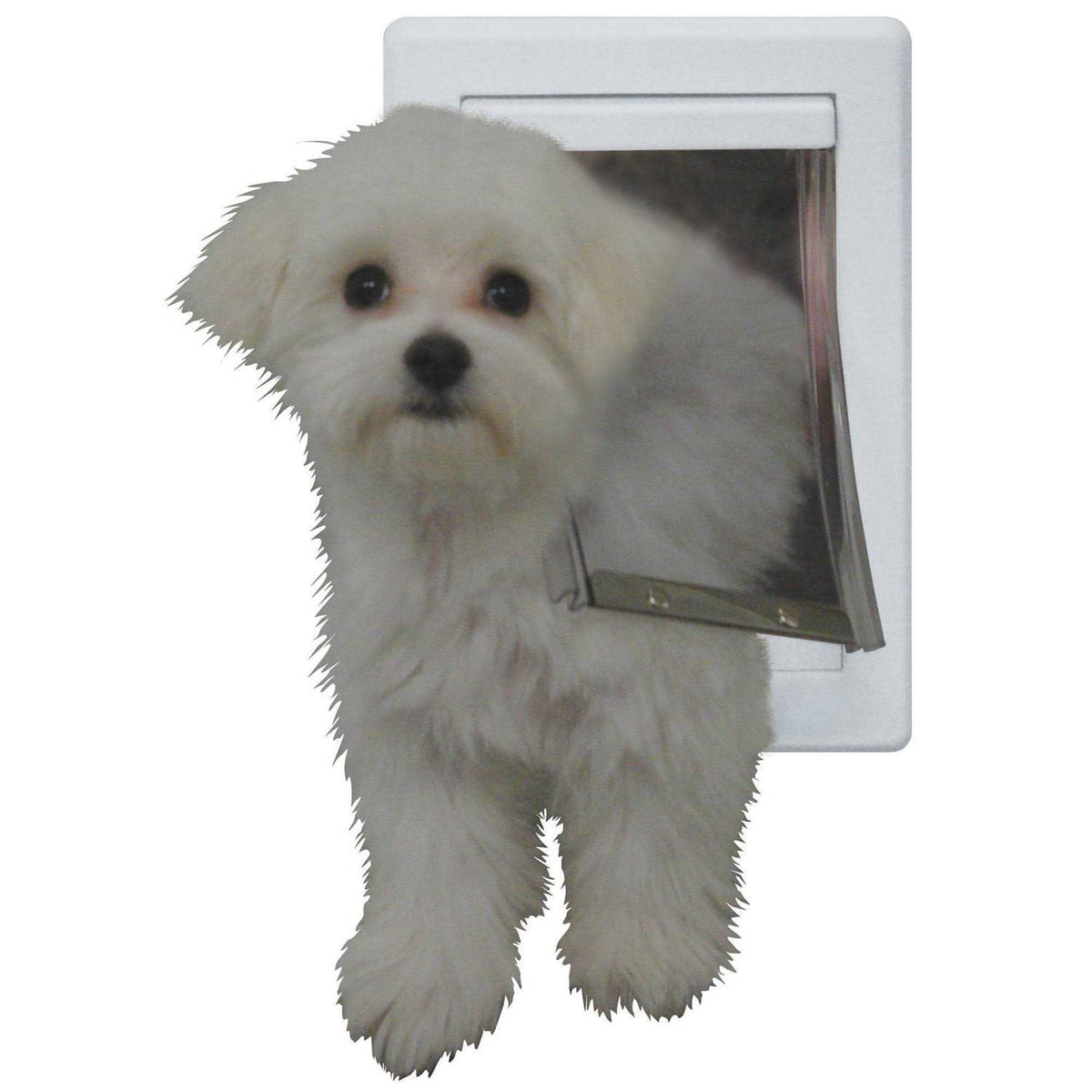 Plastic Pet Door R275330