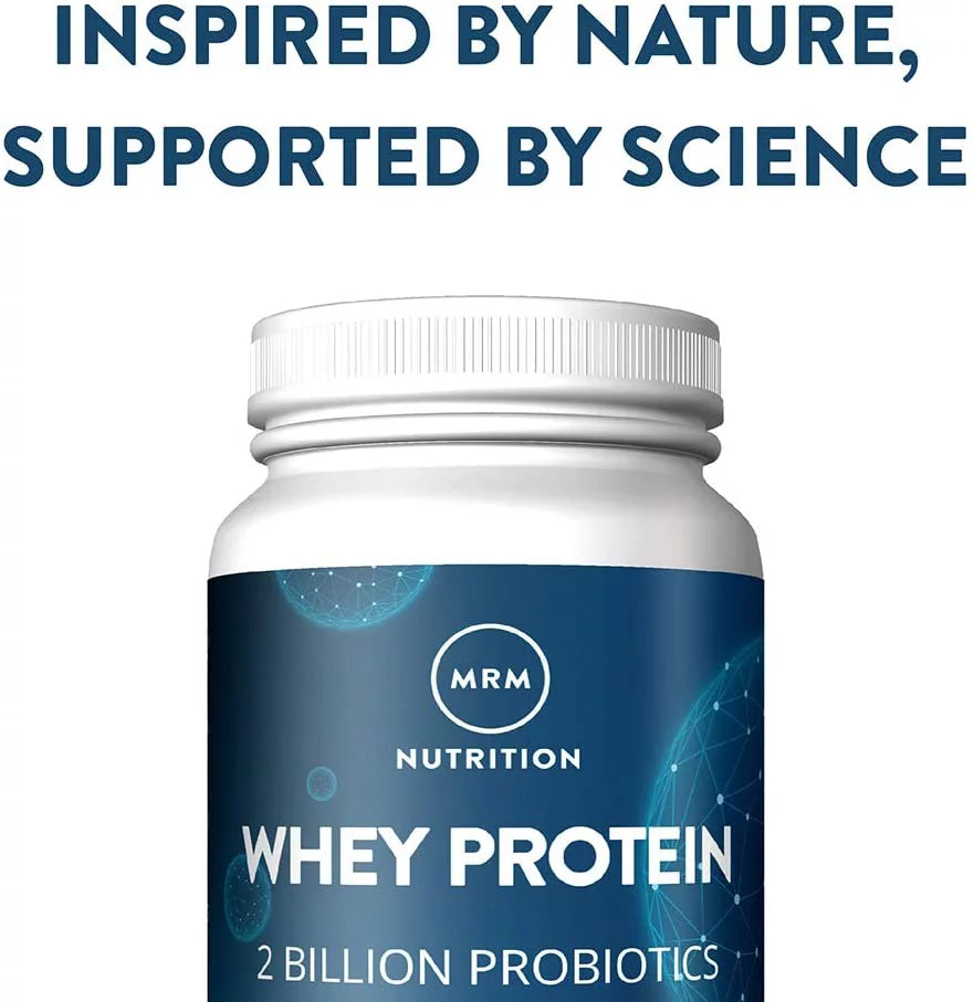 Chocolate Whey Protein G3218