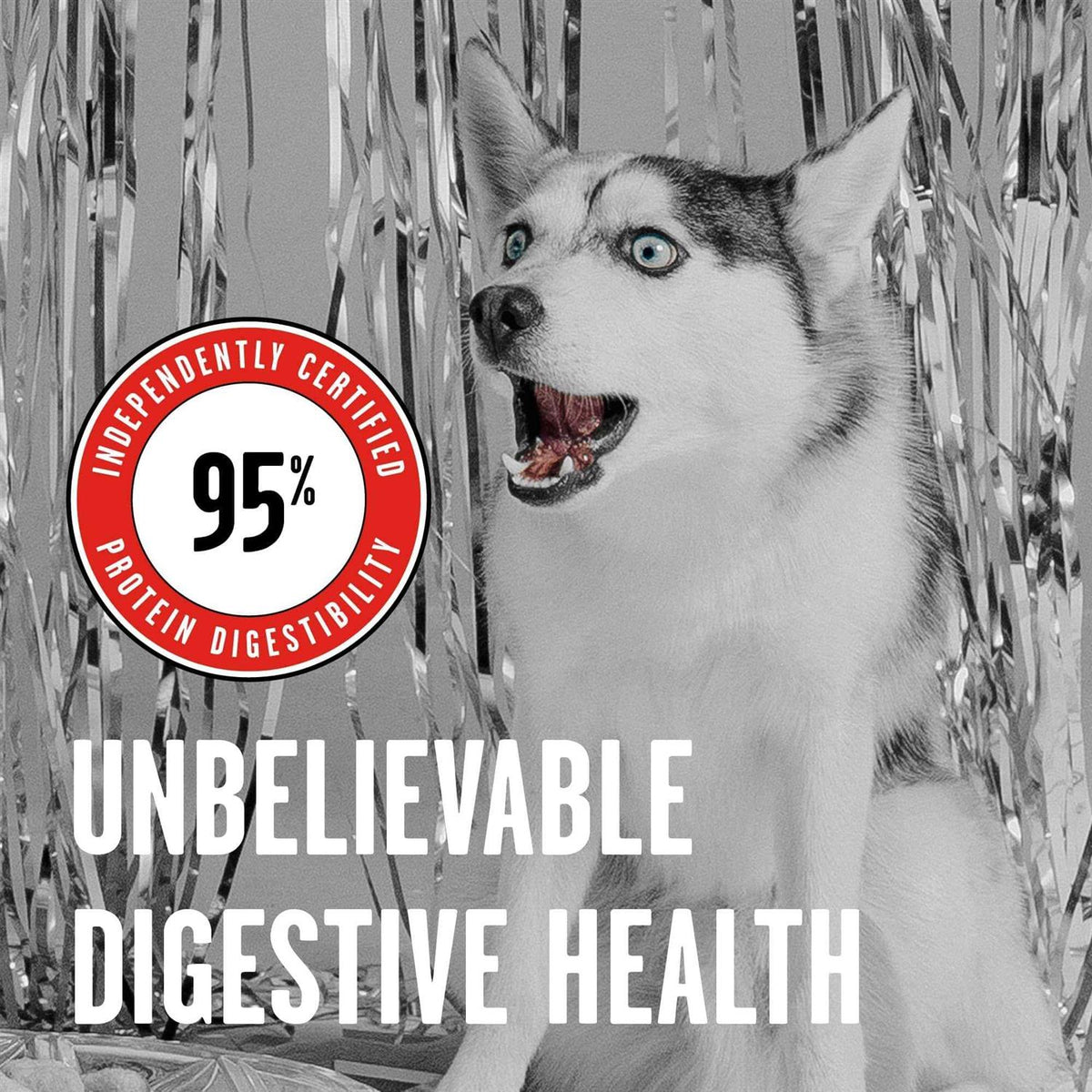 Freeze Dried Beef Dog Food B2059