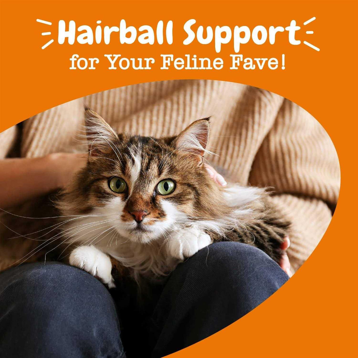 Hairball Bites for Cats W39144