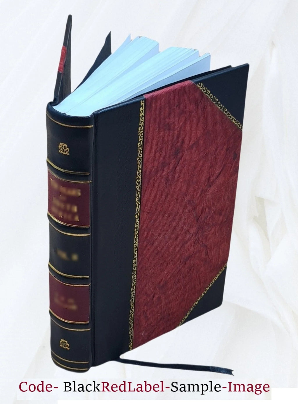 Leather Bound Book J184856