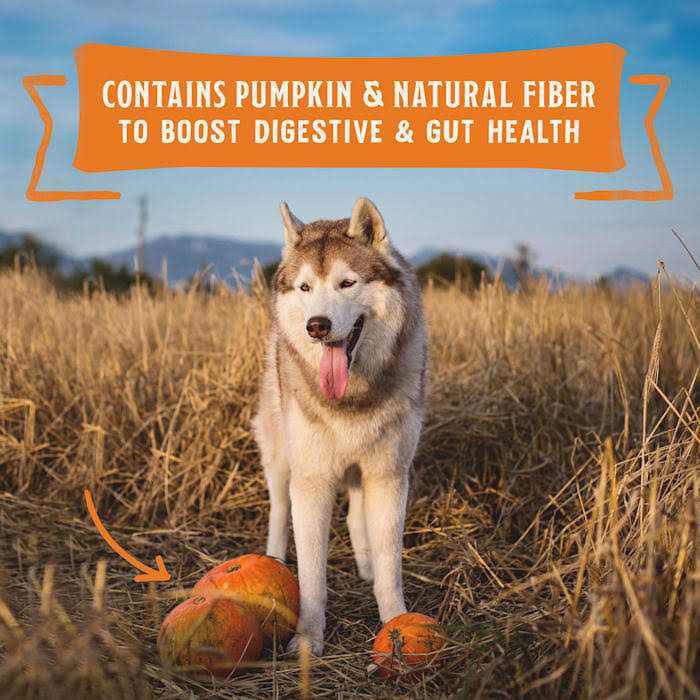 High Protein Chicken Stew Wet Dog Food U135